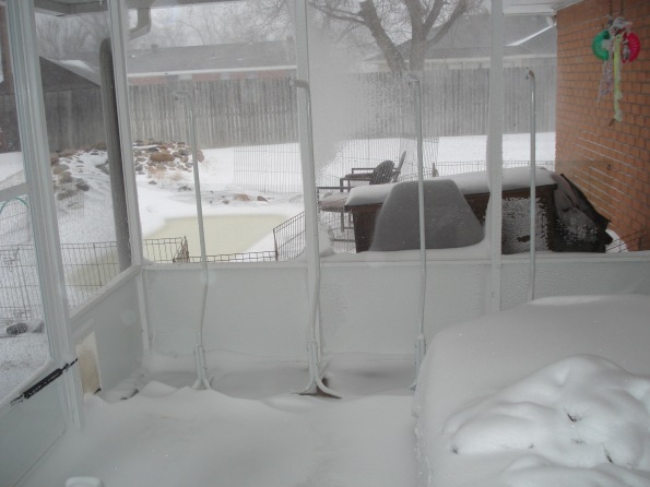 Snow in the screened in patio
