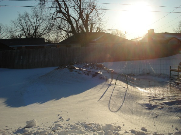 Backyard at sunrise, after a blizzard the day before